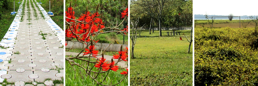 Mosaico com quatro fotografias a primeira sendo de uma passarela de concreto com as laterais azul sobre a grama verde, a segunda galhos marrom com várias flores vermelhas, a terceira campo aberto com grama e ao fundo uma mesa com bancos de concreto, e a quarta de arbustos altos com folhas esverdeadas.